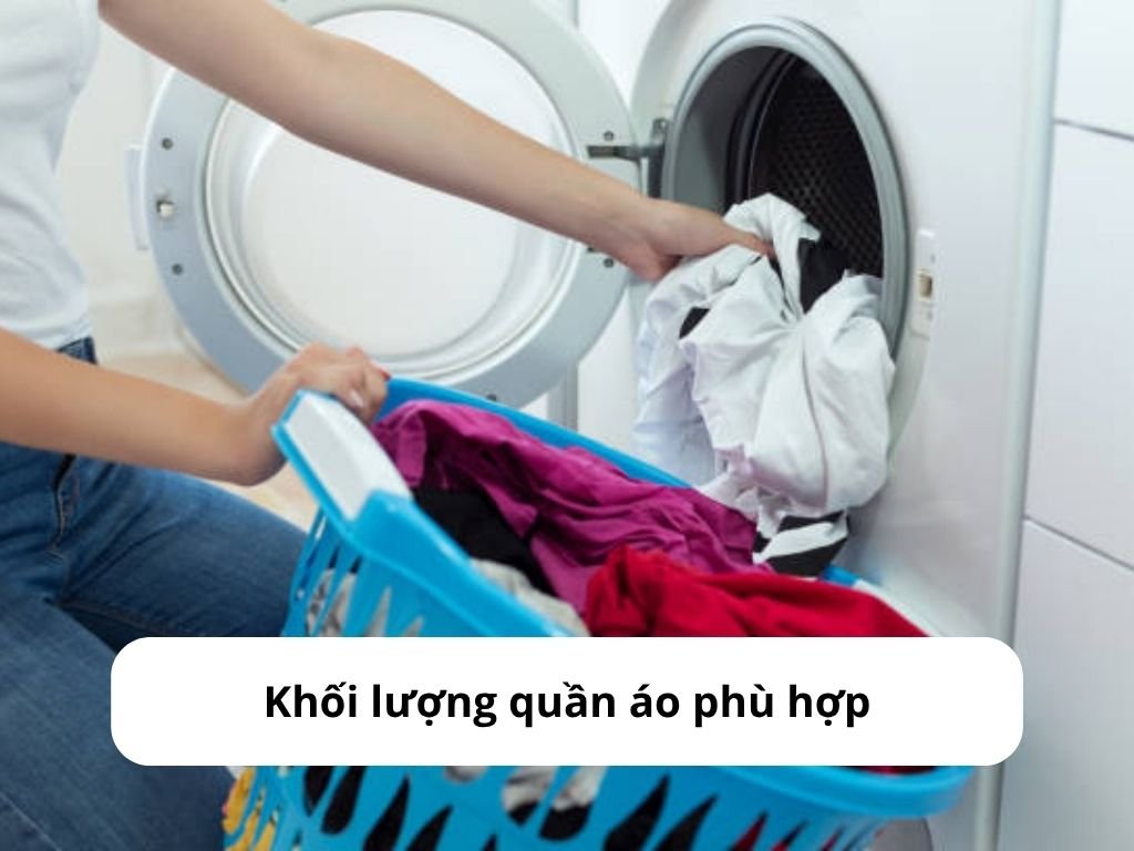 Sấy khối lượng phù hợp với dung tích máy